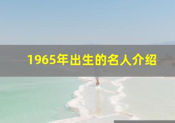 1965年出生的名人介绍