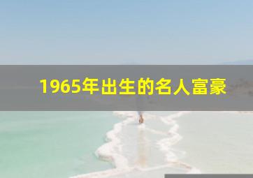 1965年出生的名人富豪