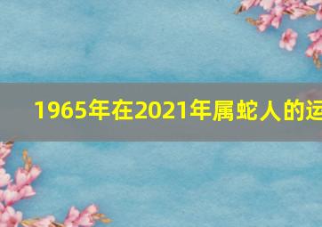 1965年在2021年属蛇人的运