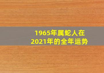 1965年属蛇人在2021年的全年运势