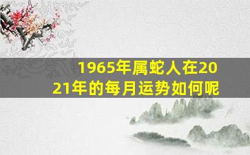 1965年属蛇人在2021年的每月运势如何呢