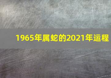 1965年属蛇的2021年运程