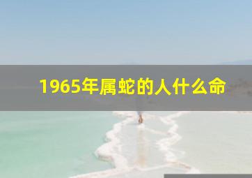 1965年属蛇的人什么命