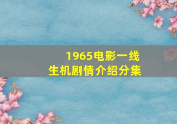 1965电影一线生机剧情介绍分集