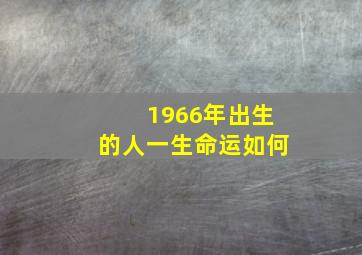 1966年出生的人一生命运如何