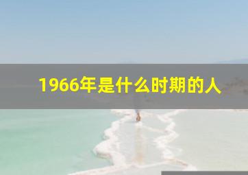 1966年是什么时期的人