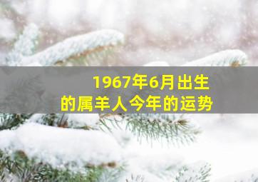 1967年6月出生的属羊人今年的运势