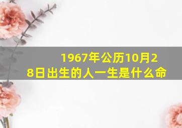 1967年公历10月28日出生的人一生是什么命