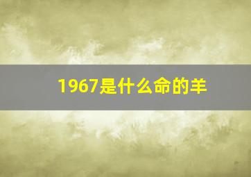 1967是什么命的羊