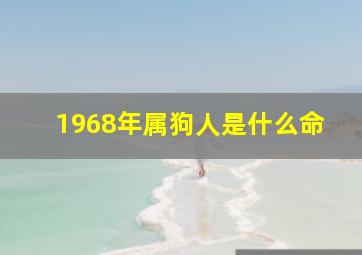 1968年属狗人是什么命