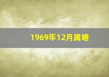 1969年12月属啥