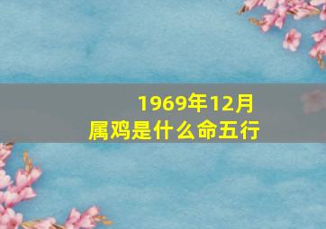 1969年12月属鸡是什么命五行