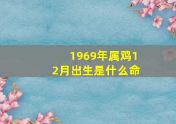 1969年属鸡12月出生是什么命