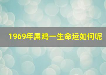 1969年属鸡一生命运如何呢