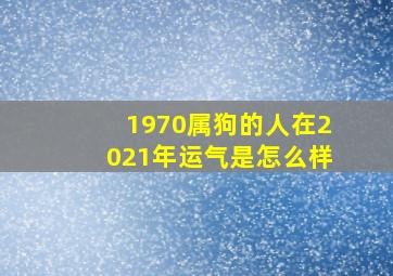 1970属狗的人在2021年运气是怎么样