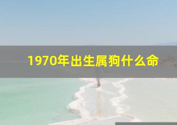 1970年出生属狗什么命