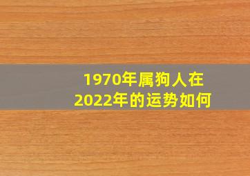 1970年属狗人在2022年的运势如何