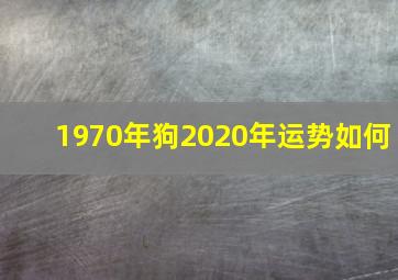 1970年狗2020年运势如何