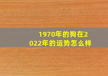 1970年的狗在2022年的运势怎么样