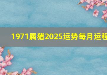 1971属猪2025运势每月运程