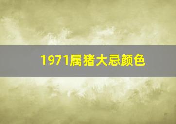 1971属猪大忌颜色