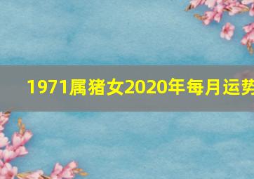 1971属猪女2020年每月运势