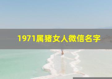 1971属猪女人微信名字