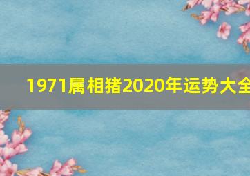 1971属相猪2020年运势大全