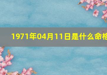 1971年04月11日是什么命格