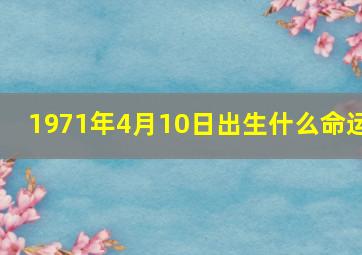 1971年4月10日出生什么命运