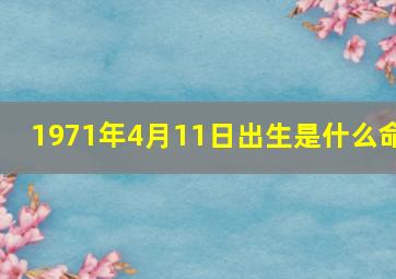 1971年4月11日出生是什么命