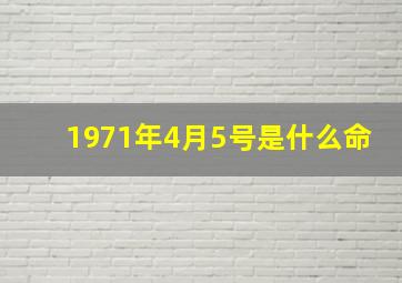 1971年4月5号是什么命