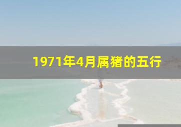 1971年4月属猪的五行