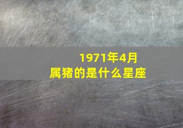 1971年4月属猪的是什么星座