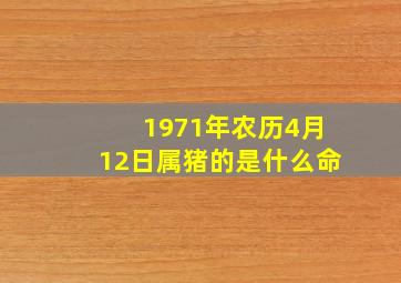 1971年农历4月12日属猪的是什么命