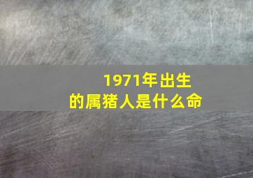 1971年出生的属猪人是什么命