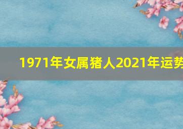 1971年女属猪人2021年运势