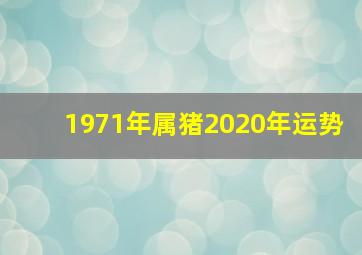 1971年属猪2020年运势