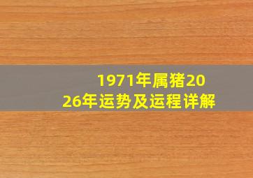 1971年属猪2026年运势及运程详解