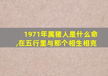 1971年属猪人是什么命,在五行里与那个相生相克