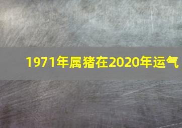 1971年属猪在2020年运气