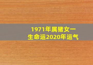 1971年属猪女一生命运2020年运气