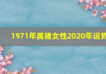 1971年属猪女性2020年运势