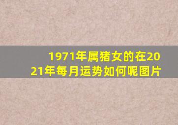 1971年属猪女的在2021年每月运势如何呢图片