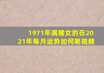 1971年属猪女的在2021年每月运势如何呢视频