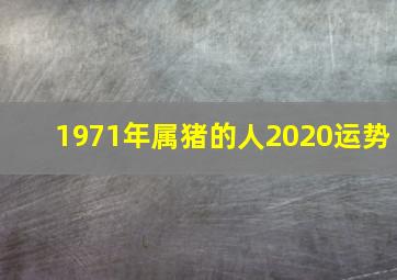 1971年属猪的人2020运势