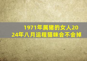 1971年属猪的女人2024年八月运程猫咪会不会掉