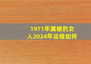 1971年属猪的女人2024年运程如何