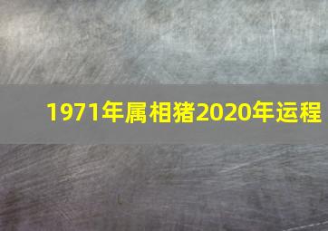 1971年属相猪2020年运程