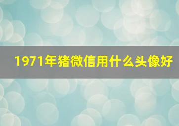 1971年猪微信用什么头像好